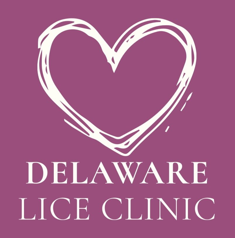 Delaware Lice Clinic Professional Head Lice Removal